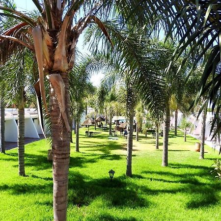Assam Hotel Kenitra Luaran gambar